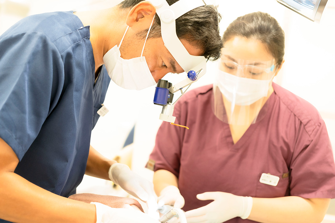 江戸川区　歯科インプラント名医