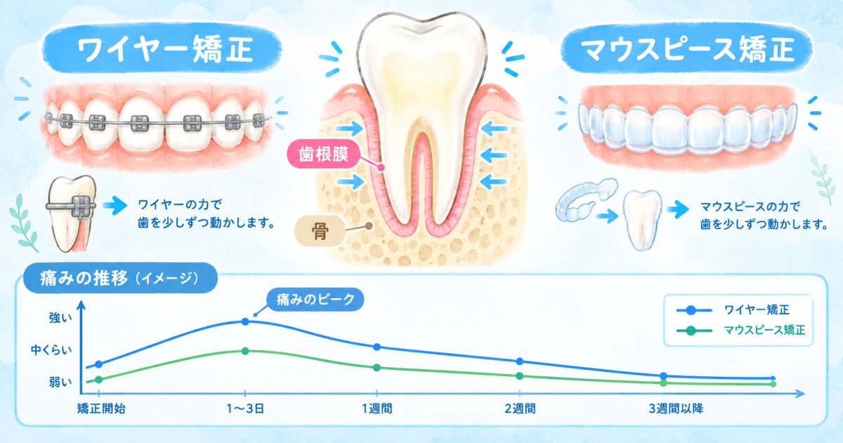矯正中の痛みは歯が動く正常な反応?調整後の経過を知る